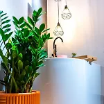 Thome Ego Flat Apartment Cluj-Napoca