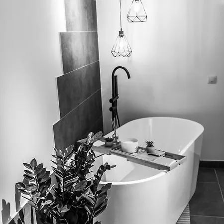 Thome Ego Flat * Cluj-Napoca