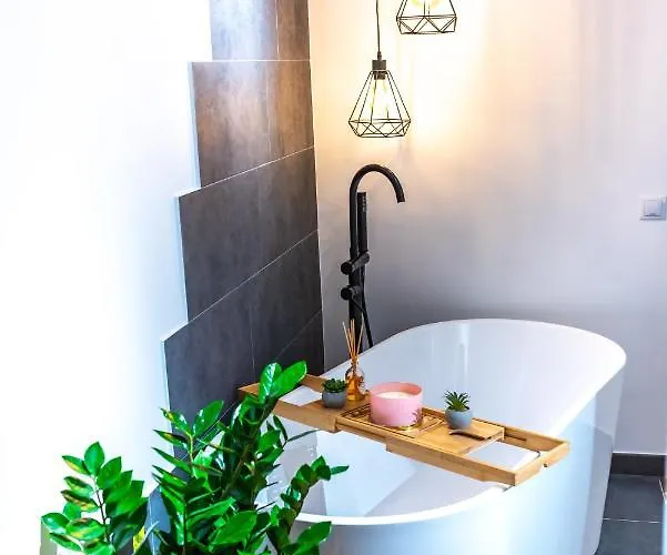 아파트 Thome Ego Flat 클루지나포카