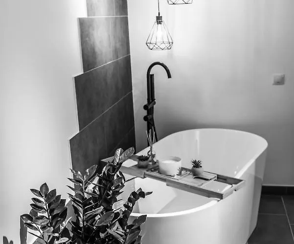 Thome Ego Flat * Cluj-Napoca